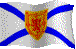 Nova Scotia's flag.