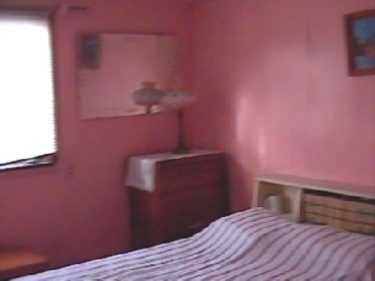 The actual room in which the wood and velvet dog sat.